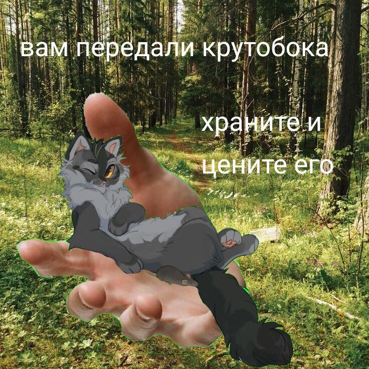 Мем от _утка_шутка_