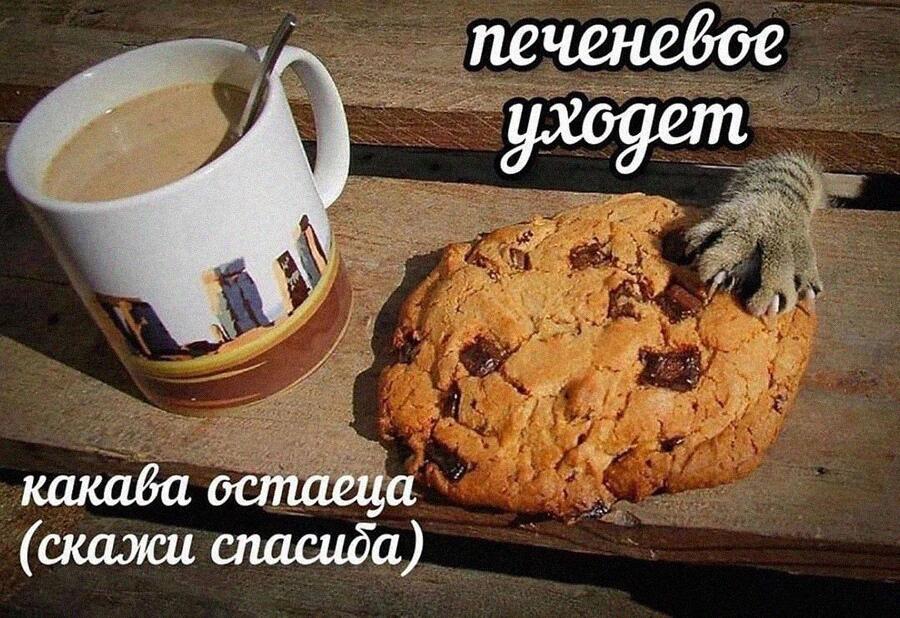 Мем от timacat2 в С.С.К.Р.