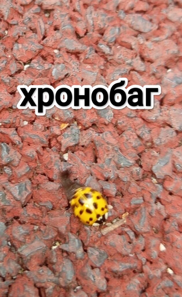 Пов: