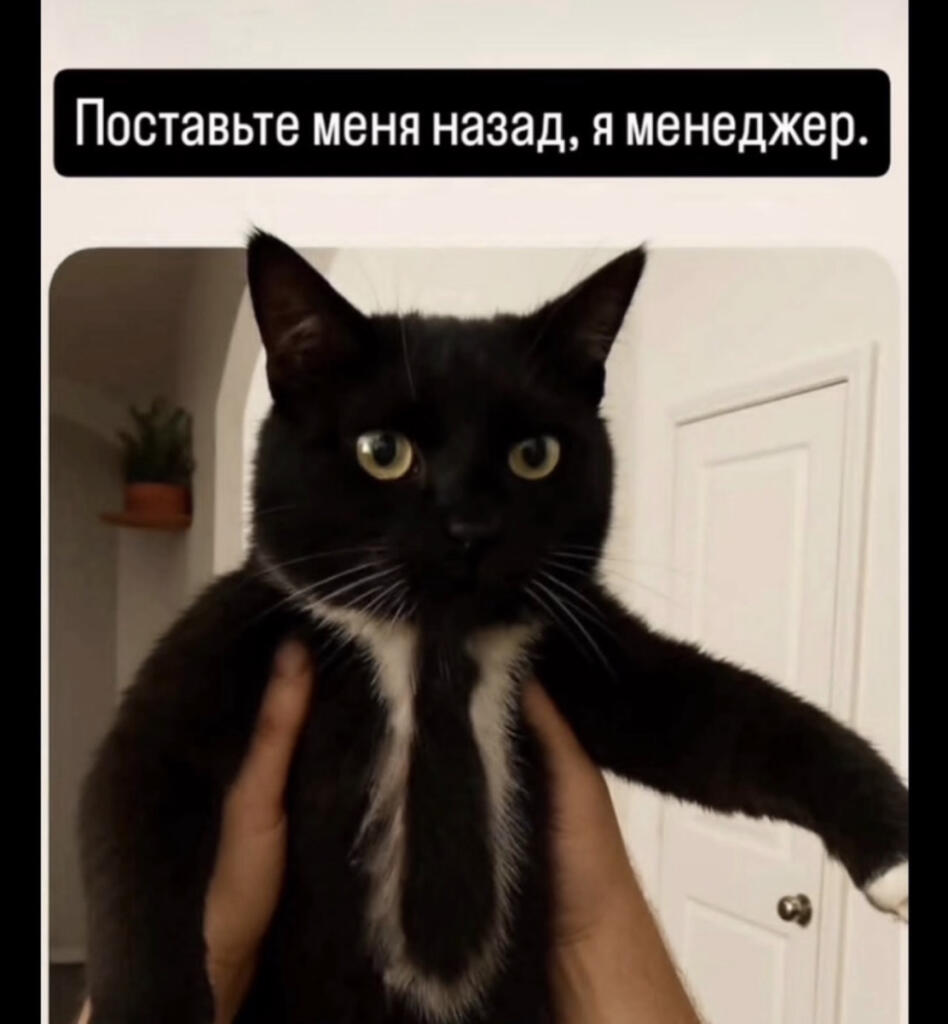 Мем без подписи
