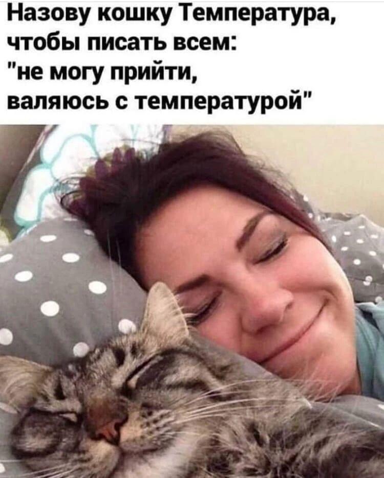 Девушка лежит в кровати и обнимает спящую полосатую кошку