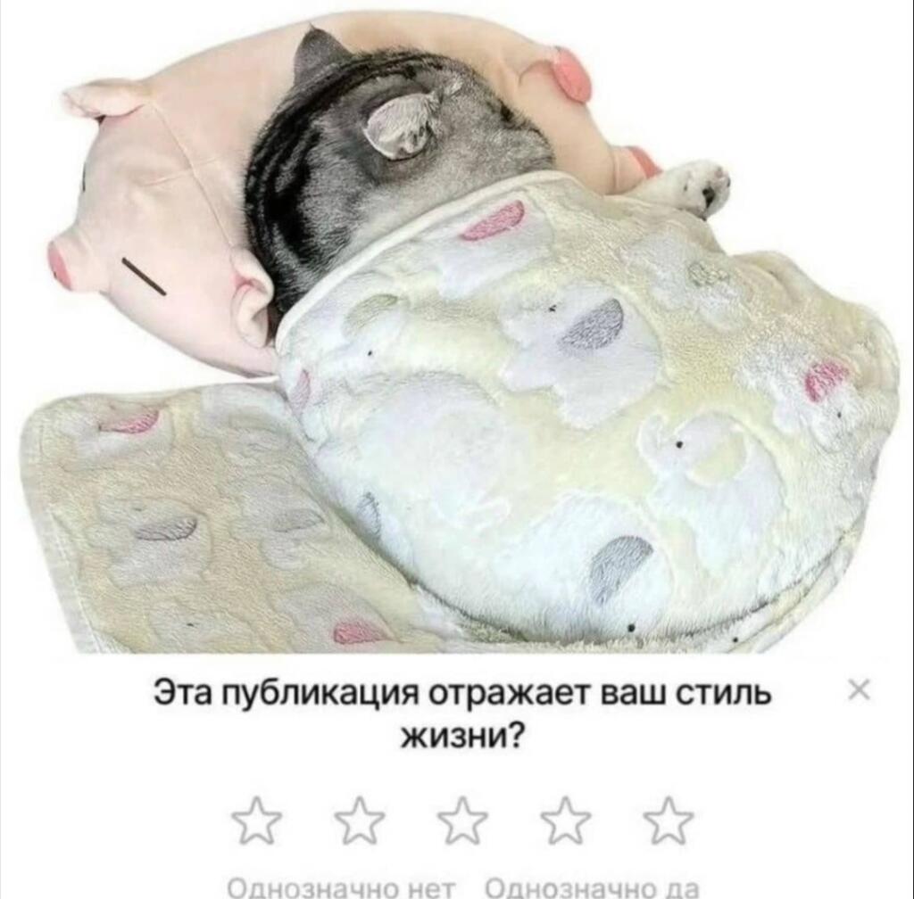 Былаб моя воля, то я бы только спал и спал и спал и спал...
