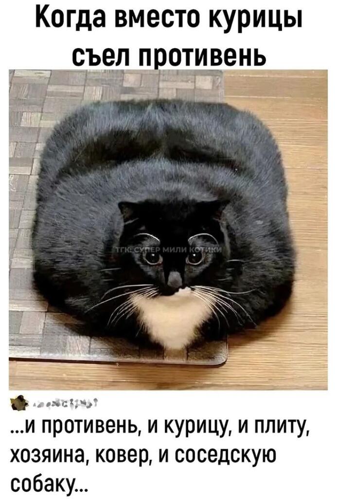 Мем без подписи