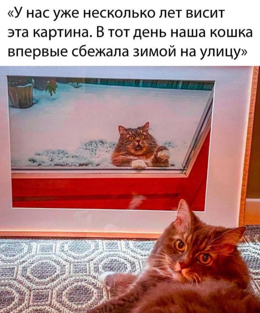 Мем