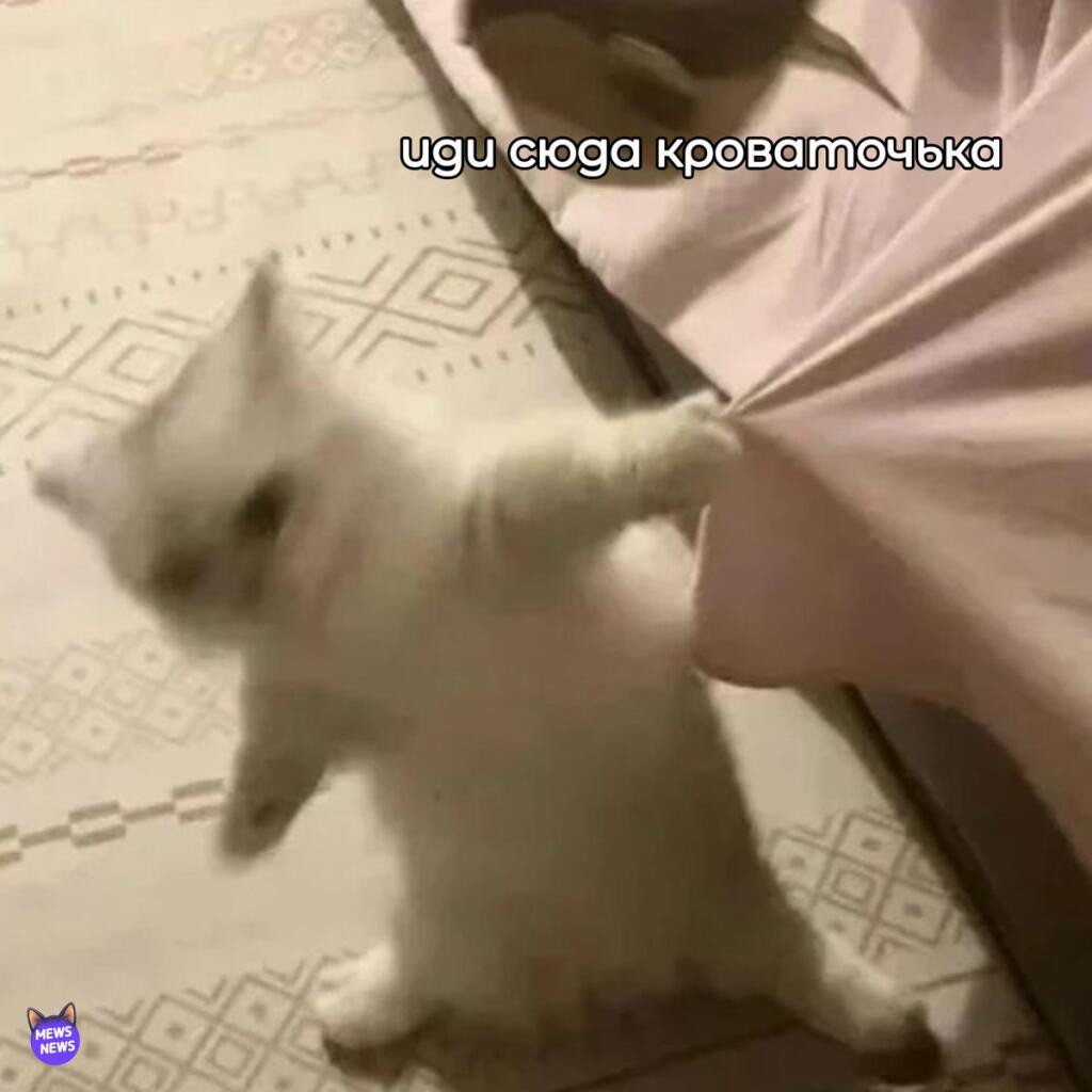 Мем от Бан до 01.01.3000