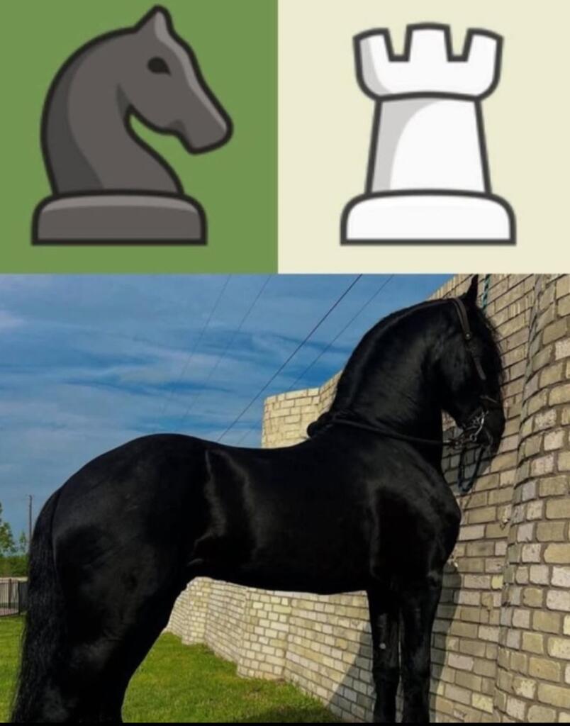 Мем от kpaM