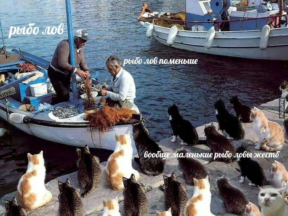 Мем от Wiro_noxiK