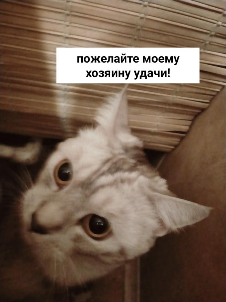 У меня сегодня ВПР... Мне страшно