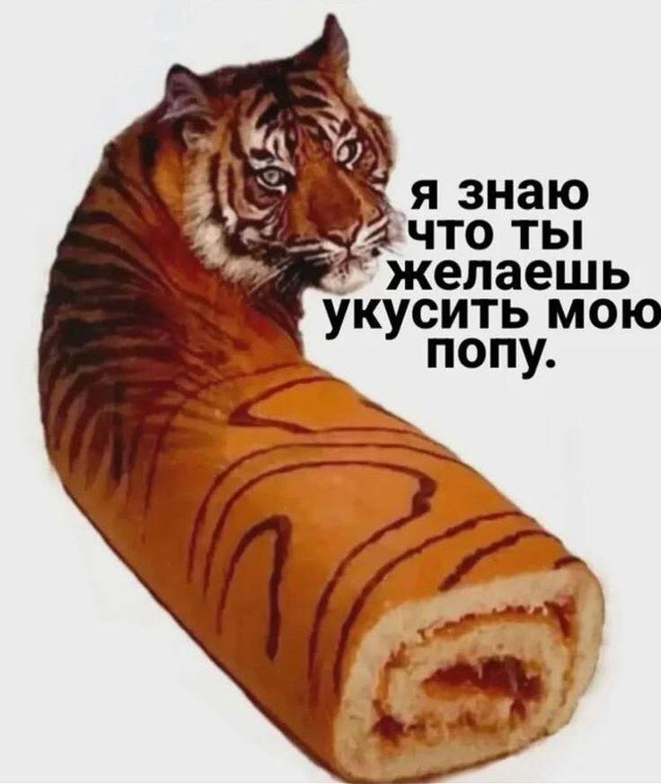 Нит, ни кусай за жемпу