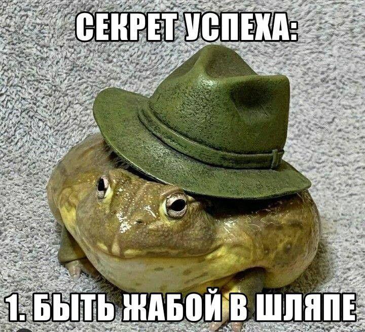 Тайна раскрыта
