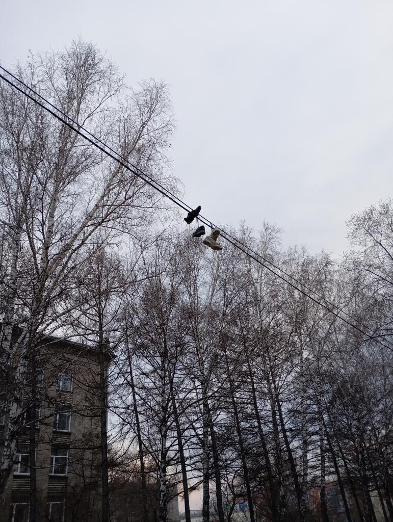 Что за тяги такие бархатные
Кефтеме