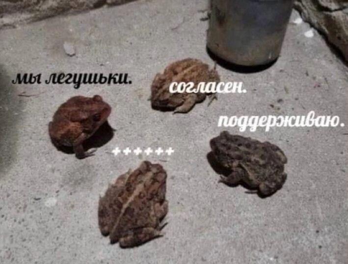 Мем от Froggy