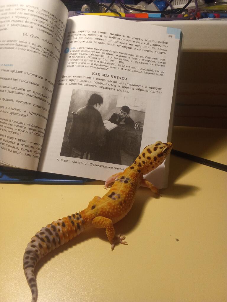 Так, чё там написно