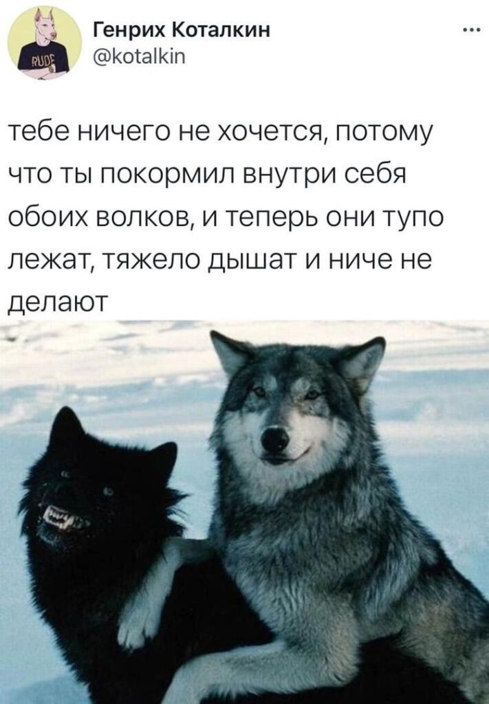 Мем без подписи