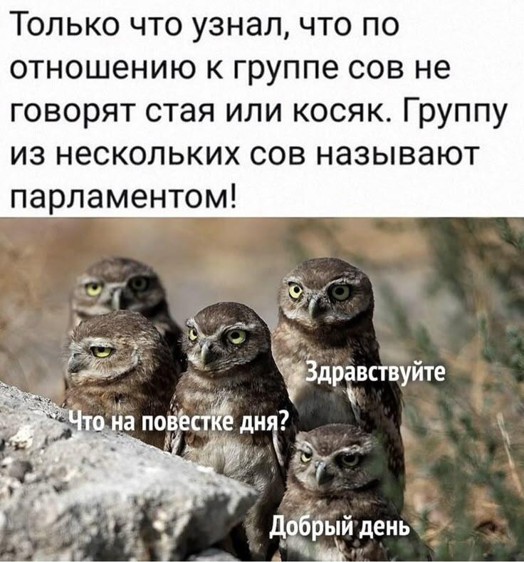 Милые чиновники