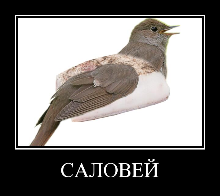 Каламбур