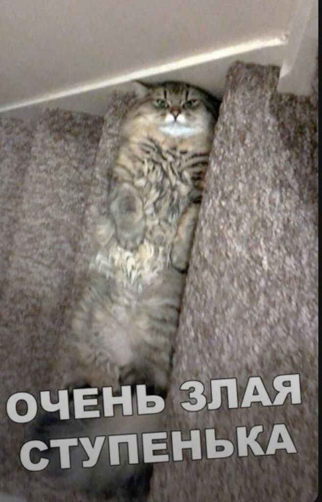 Ещё простите что так долго не было просто времени не было я каждый день почти с подругами до 19:30 да да так что ловите