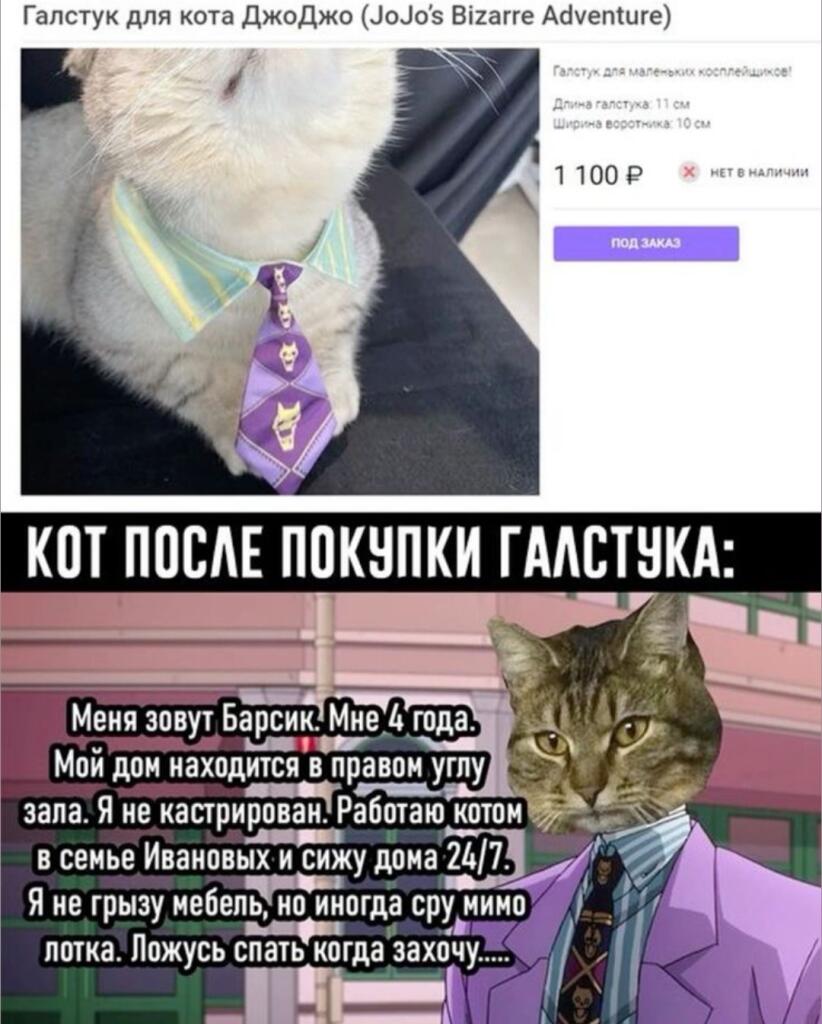 Если бы у меня был такой кот, то я может быть и не женился бы...
