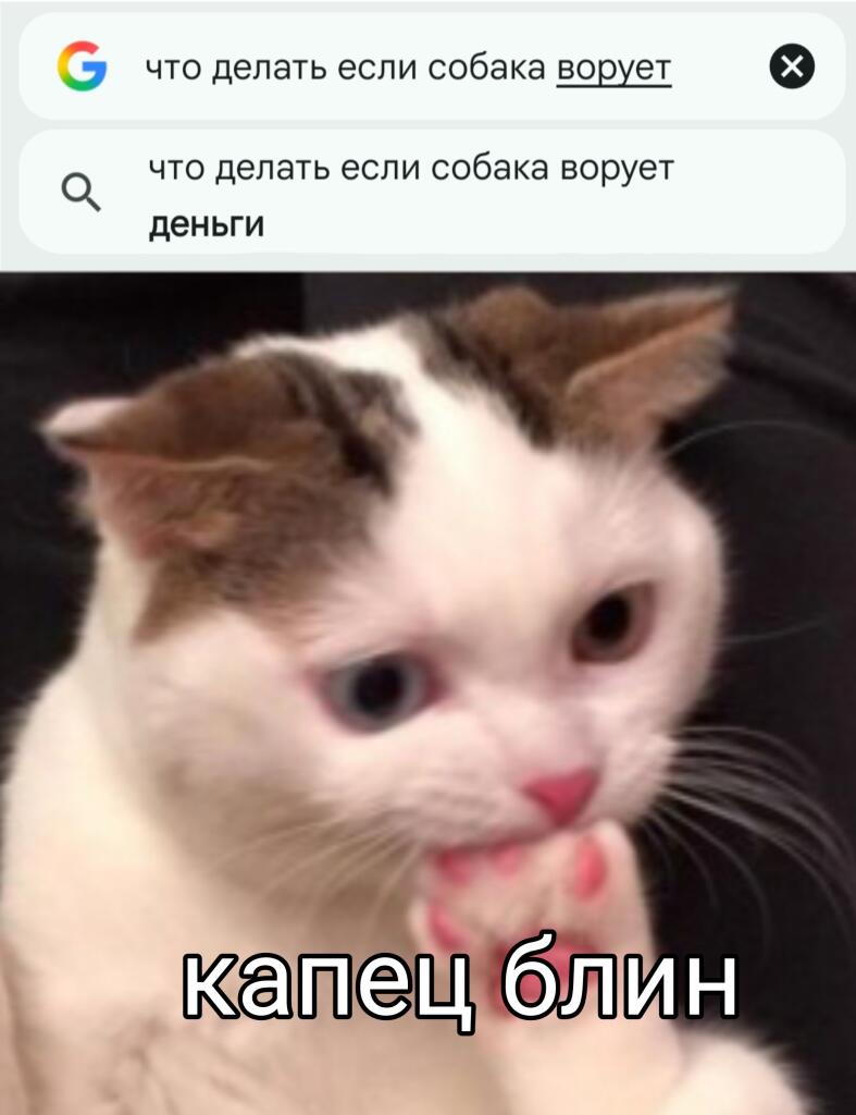 Видали? Это вам не еду на столе защищать, тут противособаковая защита...