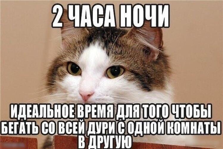 Ха