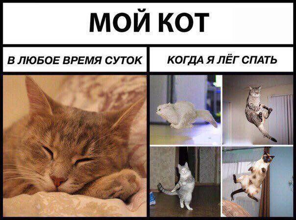Жиза