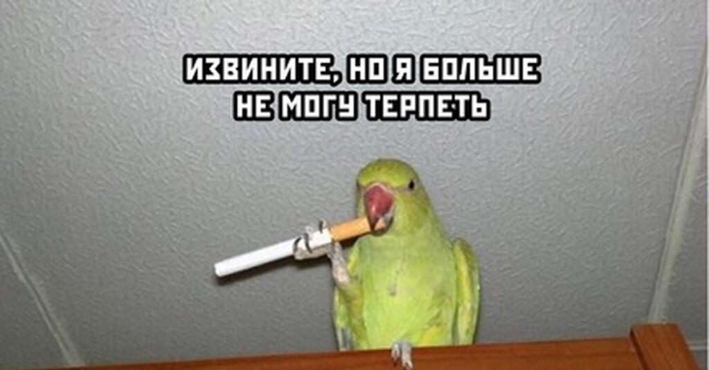 Мем от Царь Башлятор (апатия)