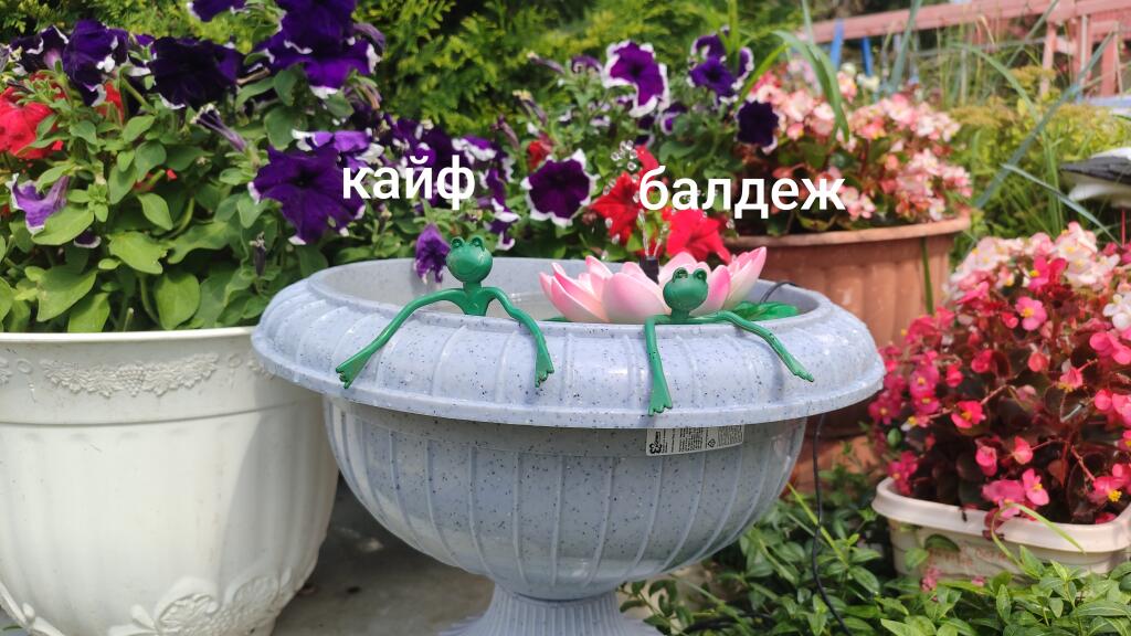 Пов:когда забыли что то задать на лето (Такое вообще бывает?) +фото б...