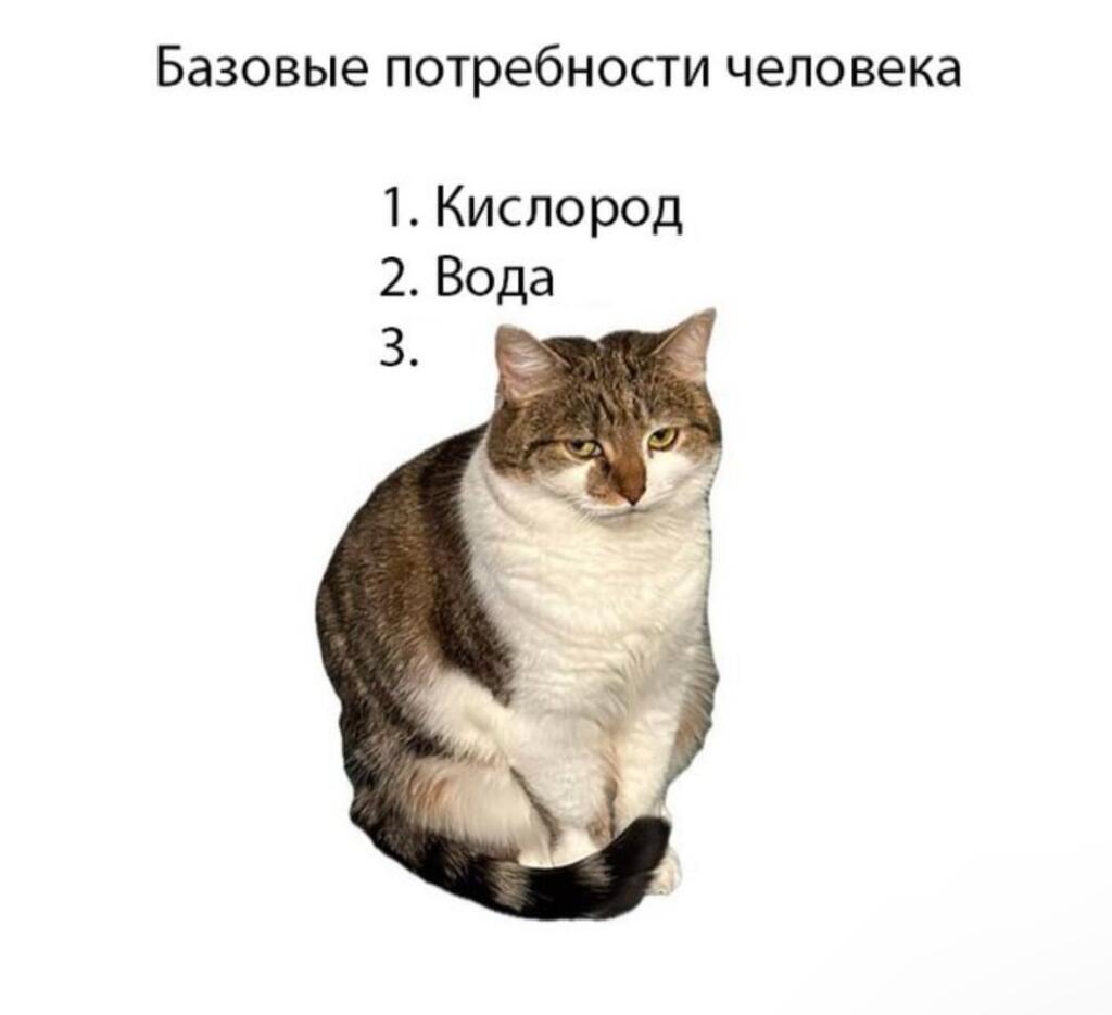 Мем без подписи