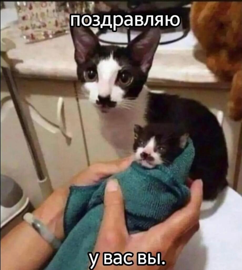 Поздравляю!
