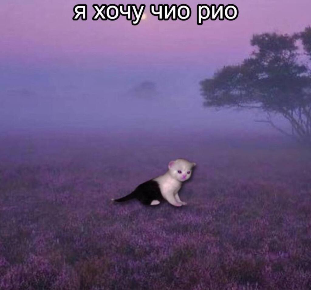 Мем без подписи