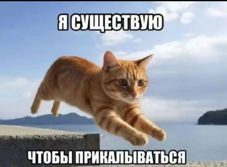 Я