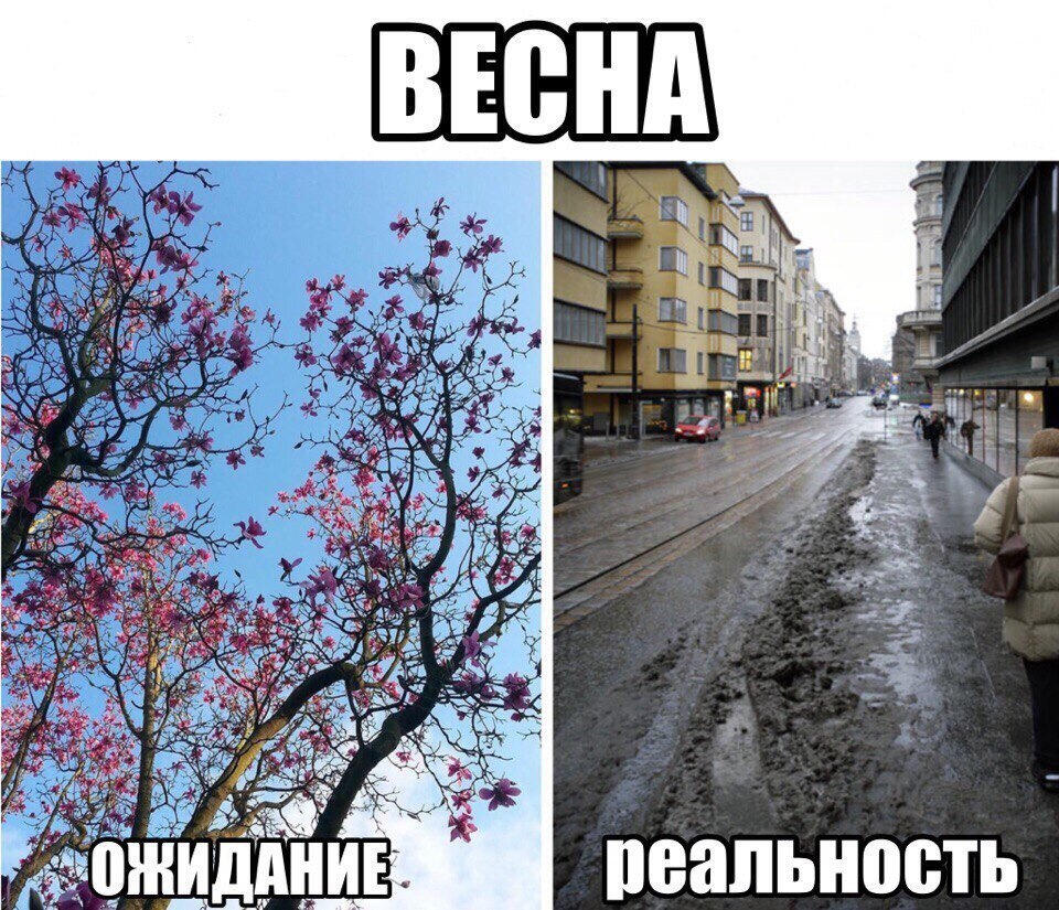 Мем от Kor0bka
