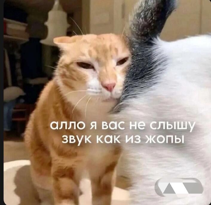 Звук как из  жомпы
