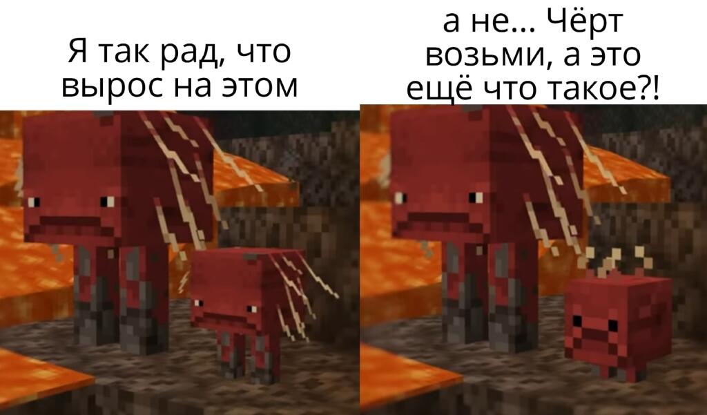 Это худшее, что Модданг добавили за последнее время