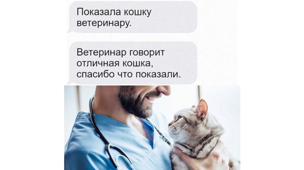 Мем от Мировая ассоциация мышей [ПЛМ]