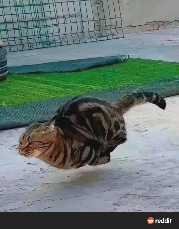 Это я?