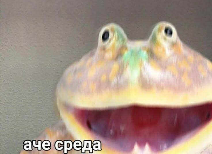 Вот мы и дожили до среды