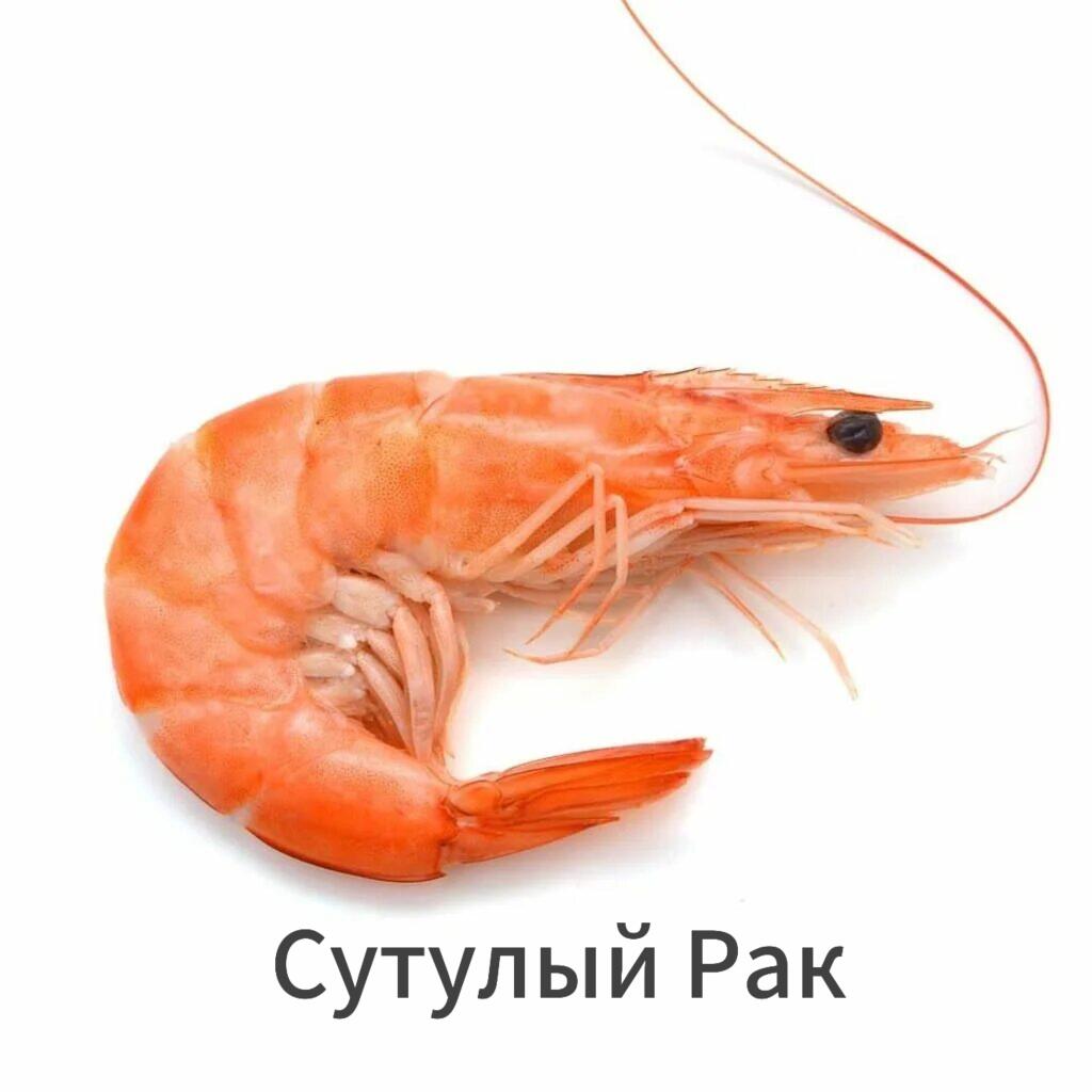 Всех С новым годом!