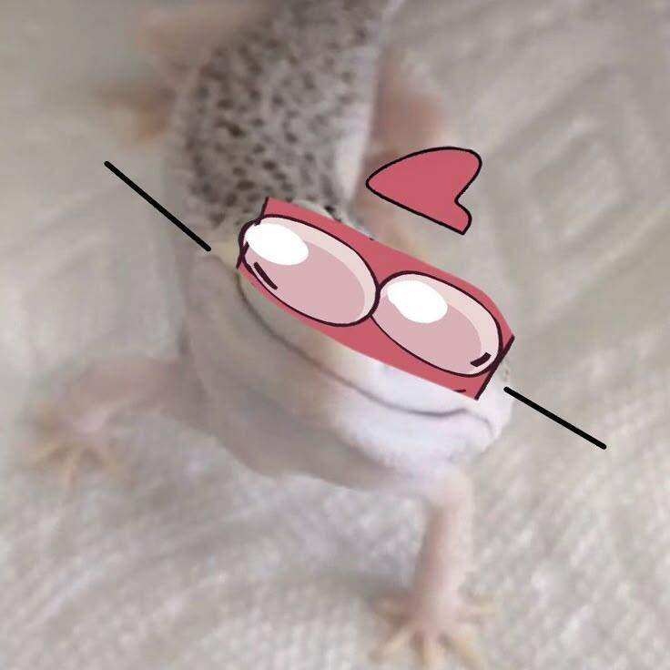 идиалити👌✨