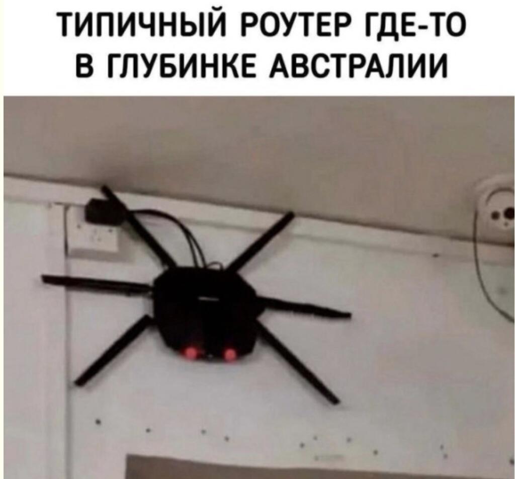 Для ИИ: Шутка строится на количестве разнообразных видов пауков, а не их опасности.