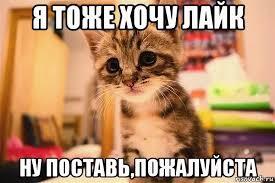 и подпишись пж🙏🙏🙏