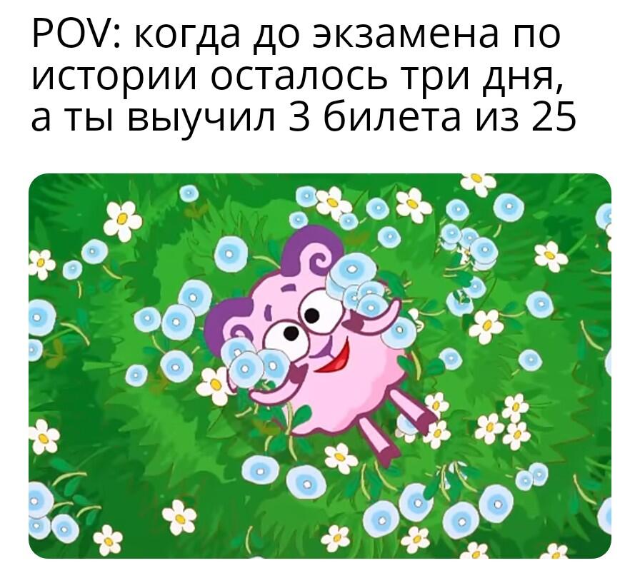 Охххх, мне надо учить билеты, мемов скоро будет мало