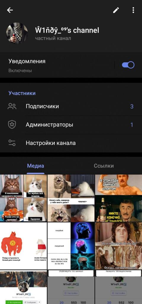У меня есть ТГ канал
Как говорил один мудрый волк:
-Ты это, заходи, если что.
https://t.me/+ABDwB2IgoBswZTQ6