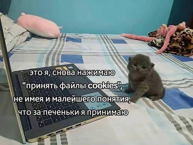 Мем без подписи