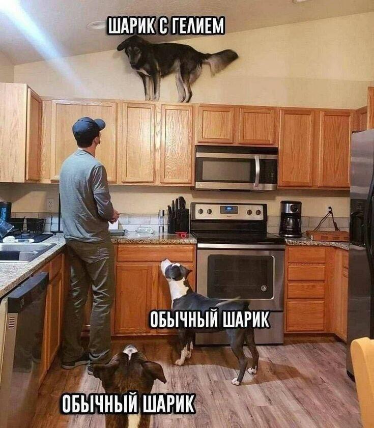 Мем без подписи