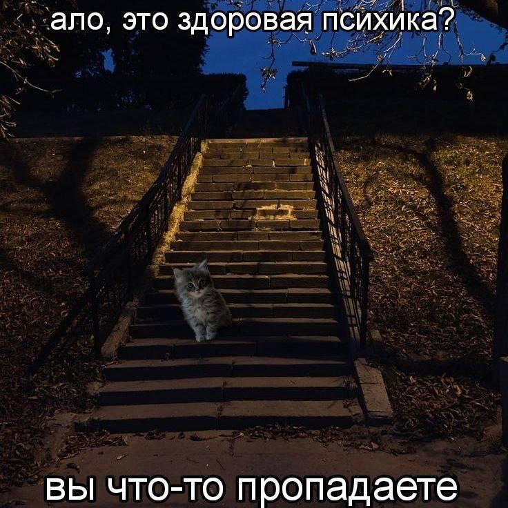 Мем без подписи