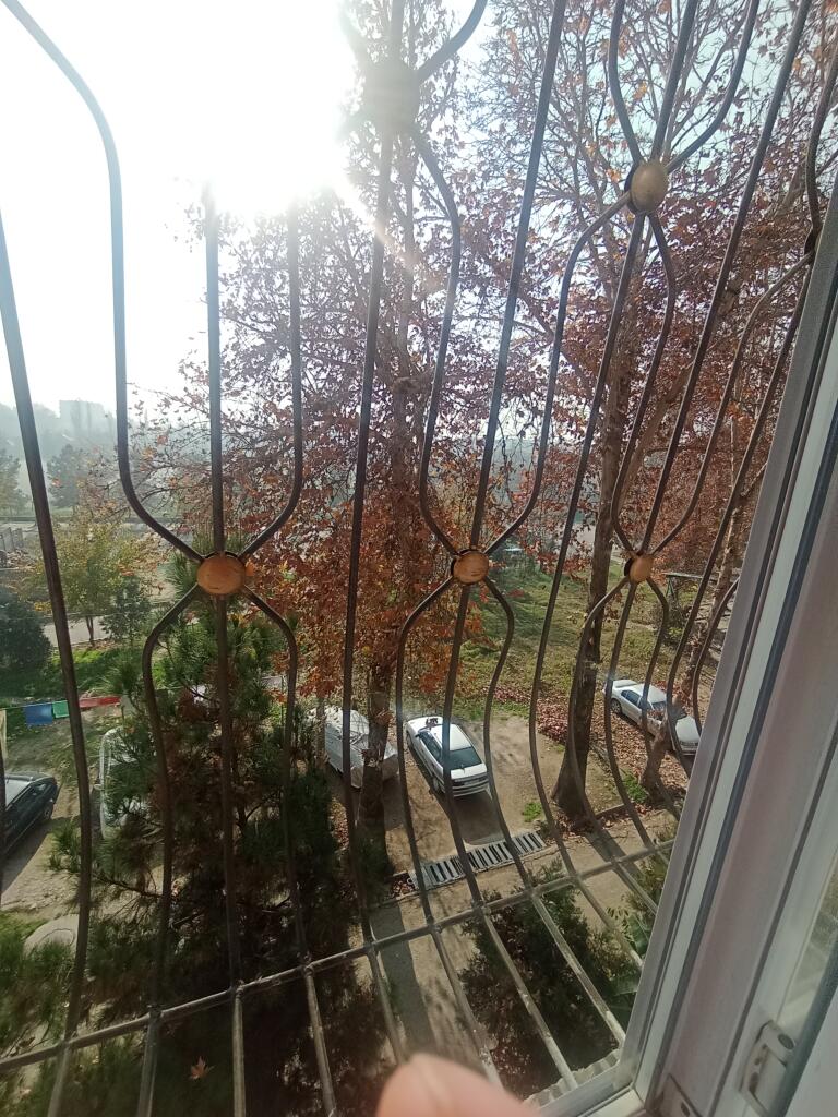 Выкладываю свой вид из окна каждый день. день 3