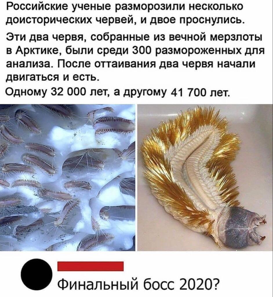 Мем от Арихана Арими