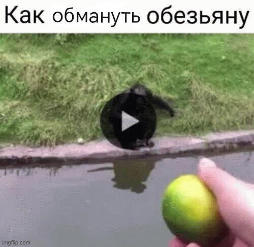 Мем без подписи