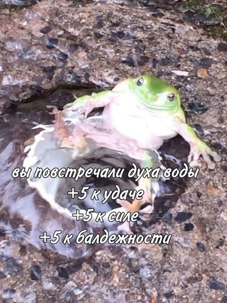 Мем без подписи